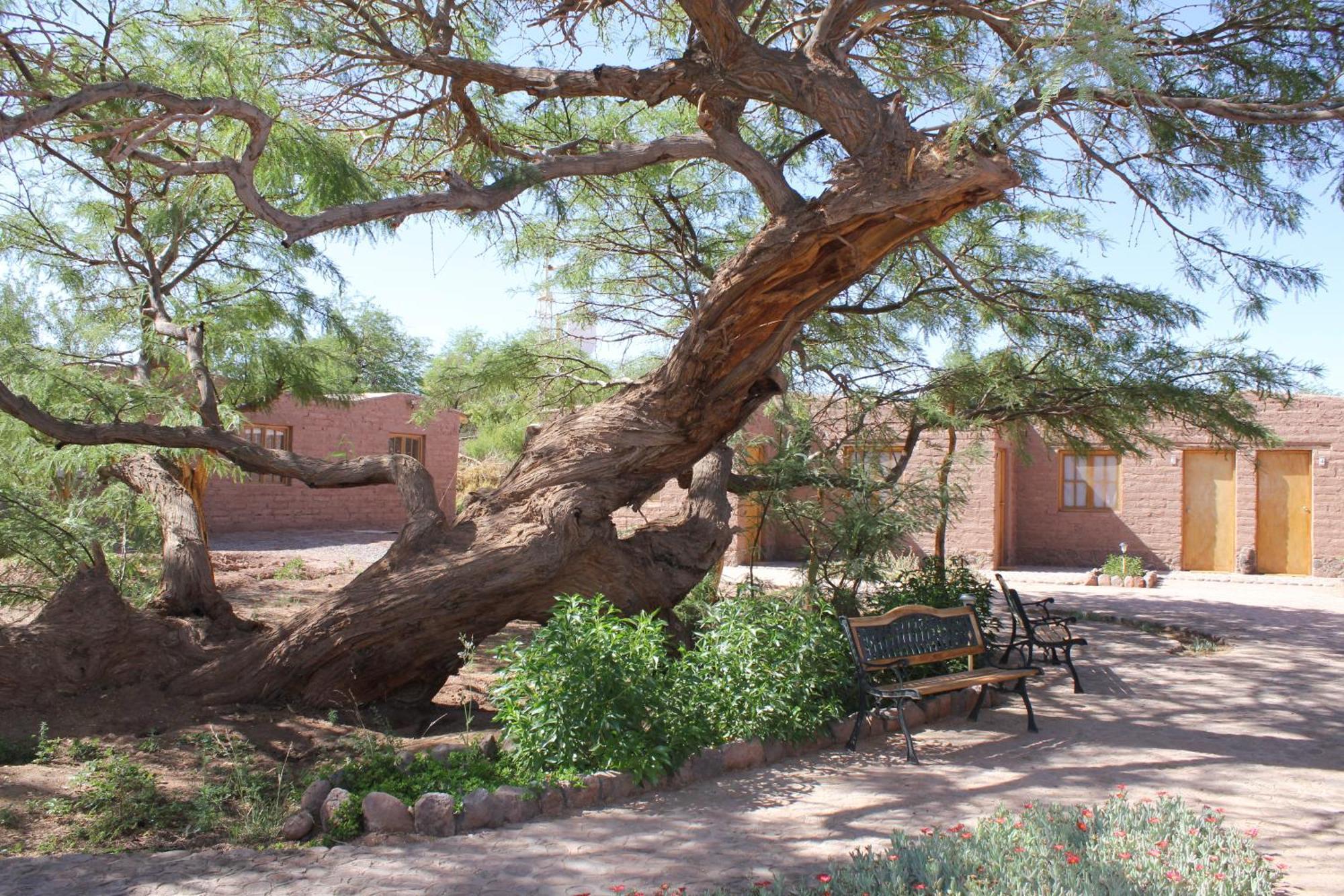 Hotel Casa Don Esteban San Pedro de Atacama Exterior photo